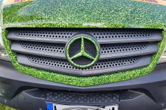 Mercedes_Sprinter_Rollrasen_07_1